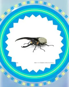 いきもの大図鑑 かぶとむし07 ⬢ ヘラクレス・リッキー改(ブルー)