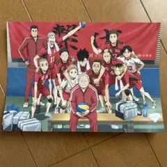 劇場版ハイキュー！！ゴミ捨て場の決戦 映画特典.*・゜