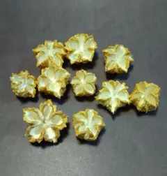 ポップナッツ　ゴールドカラー10g