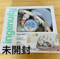【未開封】インジェニュイティ コージースポット リバーシブルジム