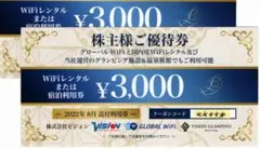 ②ビジョン 株主優待6,000円分 Wi-Fiレンタル・宿泊 ’23/8/31迄