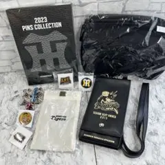 HANSIN Tigers 阪神タイガース　ピンズ　ポーチ　セット
