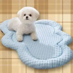 Item thumbnail for item ecf9f748-040f-4377-af4a-1778d26efd7d