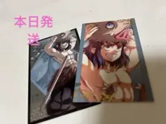 無限城編第3弾 ランダムフォトカードA.B 嘴平伊之助