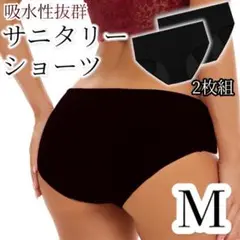 サニタリーショーツ 2枚組 M 吸水 生理 ショーツ 下着 生理用品 mo31