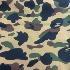 アベイシングエイプ マウンテン