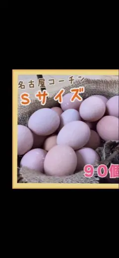 Item thumbnail for item 14086fea-74eb-4011-b60c-076af31396b5