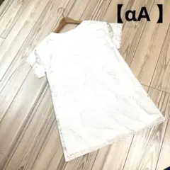 【未使用品】新品　タグ付き アルファエー ブラウス 総レース チュニック　36