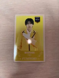 BUDDiiS FUMINORI 小川史記 トレカ エビライ