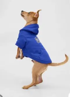 Item thumbnail for item 66e10de9-808c-4077-b9c2-a30061a037a9