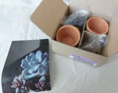 【新品未使用品】フェリシモ　まるで本物多肉植物風キャンドル④
