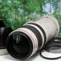 ☆光学超美品の白レンズ♪canon EF 35-350mm F3.5-5.6☆