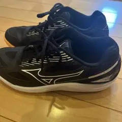 Mizuno バレーボールシューズ　25cm 1回使用