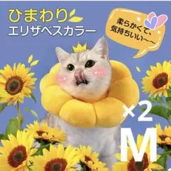 Item thumbnail for item 22bd8bdd-979a-40bb-9d35-dbf5eea8e9f9