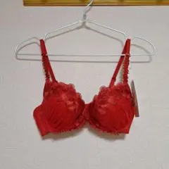 新品タグ付●トリンプ●高級ブラジャー●C70●赤●フロラーレサルート