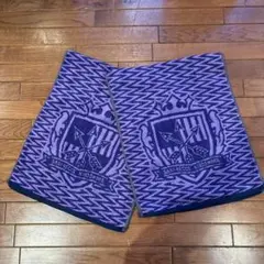 サンフレッチェ広島　フェイスタオル2枚セット
