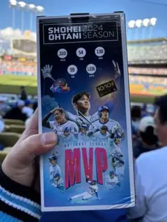 Item thumbnail for item 077868c2-d921-4b90-80f9-56191cf21f23