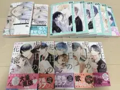 少女漫画まとめ売り 13冊セット