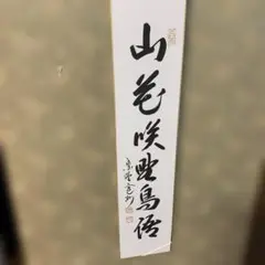 Item thumbnail for item c2ab4cf9-97ad-4e59-8b7f-c5032aa8476d