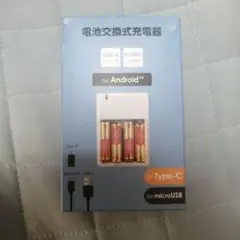 【即日発送】CENTURY 電池交換式充電器 モバイルバッテリー