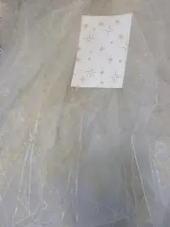 Item thumbnail for item ddd058c4-d649-49aa-9d29-51d80371a6a7