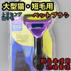 Item thumbnail for item 969acec3-fbe7-410c-a9cb-814521b7179d