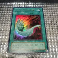 ハーピィの羽根箒+オマケ