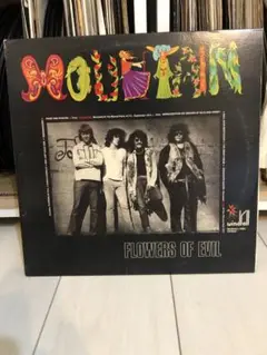 Mountain Flowers of Evil lp レコード　貴重