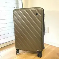 新品　スーツケース キャリーケース 拡張機能付き Lサイズ TSAロック グレー