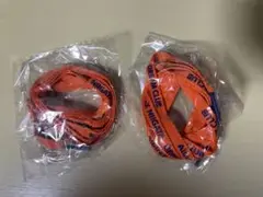 アルビレックス新潟　シューズ　靴　ひも 2セット