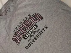 Item thumbnail for item 9f180da6-eea1-4593-94b5-0965e2651285