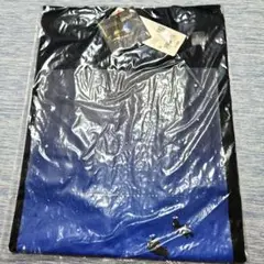 ユニクロ UTドラえもん&ルーブル美術館Tシャツ Lサイズ　黒