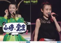 ハロプロ研修生発表会2019 6月 ～緑～ライブ風景ソロ2L生写真2枚　山﨑愛生
