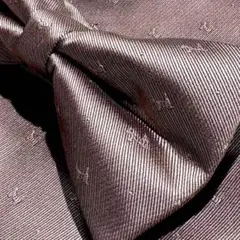 Item thumbnail for item 10c4afd4-e4a0-4f63-b8b7-61d2d5ec61bd