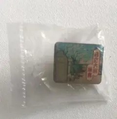 若宮大路 鎌倉 ピンズ