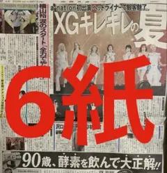 阪神タイガース　佐藤輝明　スポーツ新聞6紙　まるごと　新品　8月31日