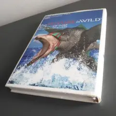 the FUTURE is WILD 驚異の進化を遂げた2億年後の生命世界