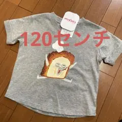 新品　パンどろぼう　tシャツ 120センチ グレー