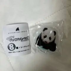アドベンチャーワールド アクスタ