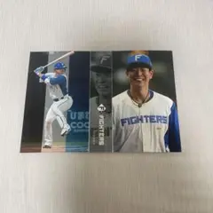 ミニフォトシークレット 松本剛