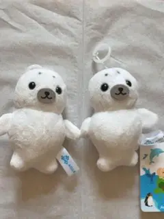 江ノ島水族館アザラシキーホルダー