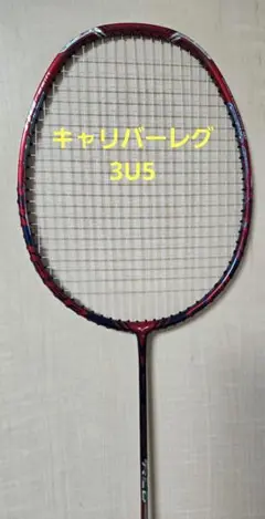 2025年最新】バドミントンラケット ミズノ キャリバーの人気