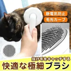 Item thumbnail for item 0274ac84-95da-4b31-a346-0f8274e55d5f
