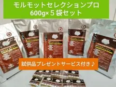 Item thumbnail for item aa1d4fc1-9843-45b5-9e84-7686ee262207