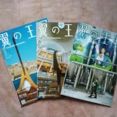 ANA 翼の王国 3冊