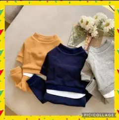 Item thumbnail for item e69a81c9-84b0-44fc-a715-5f17124e7903