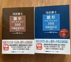 司法書士 繰形コレクション300 不動産登記法 第4版 司法書士試験 雛形コレクション300 不動産登記法 〈第4版