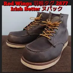 Red Wings 羽根タグ 2877 Irish Setter ヌバック
