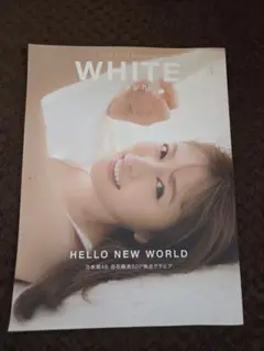 Item thumbnail for item d0d3958b-1b7e-4dd2-be4a-b2a68d5906c2