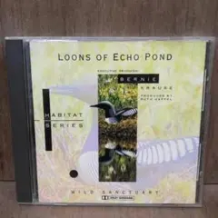 Ruth Happel – Loons Of Echo Pond 7
